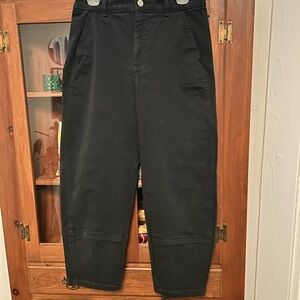 Everlane Black Barrel Leg Jeans
